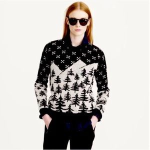 JCrew 100% Wool Sweater - size large but fits like a small.